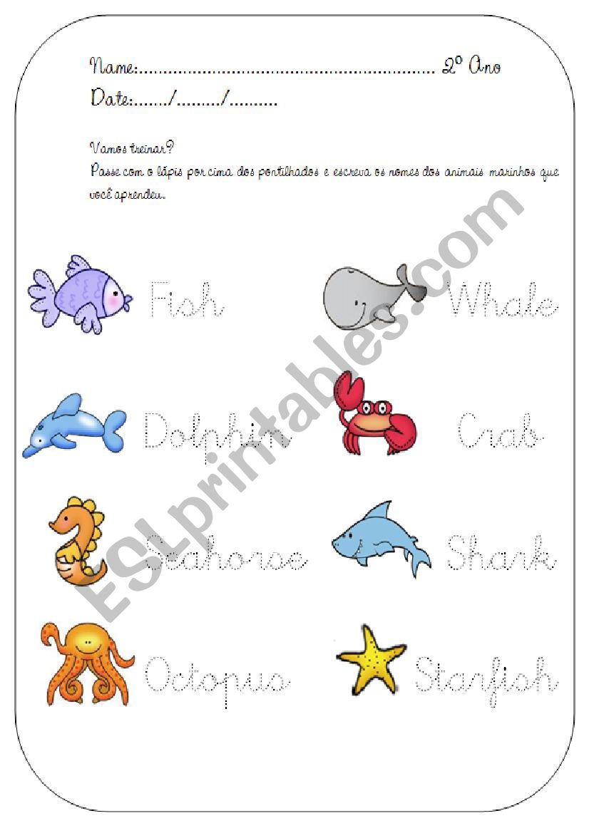 Sea creatures activity worksheet