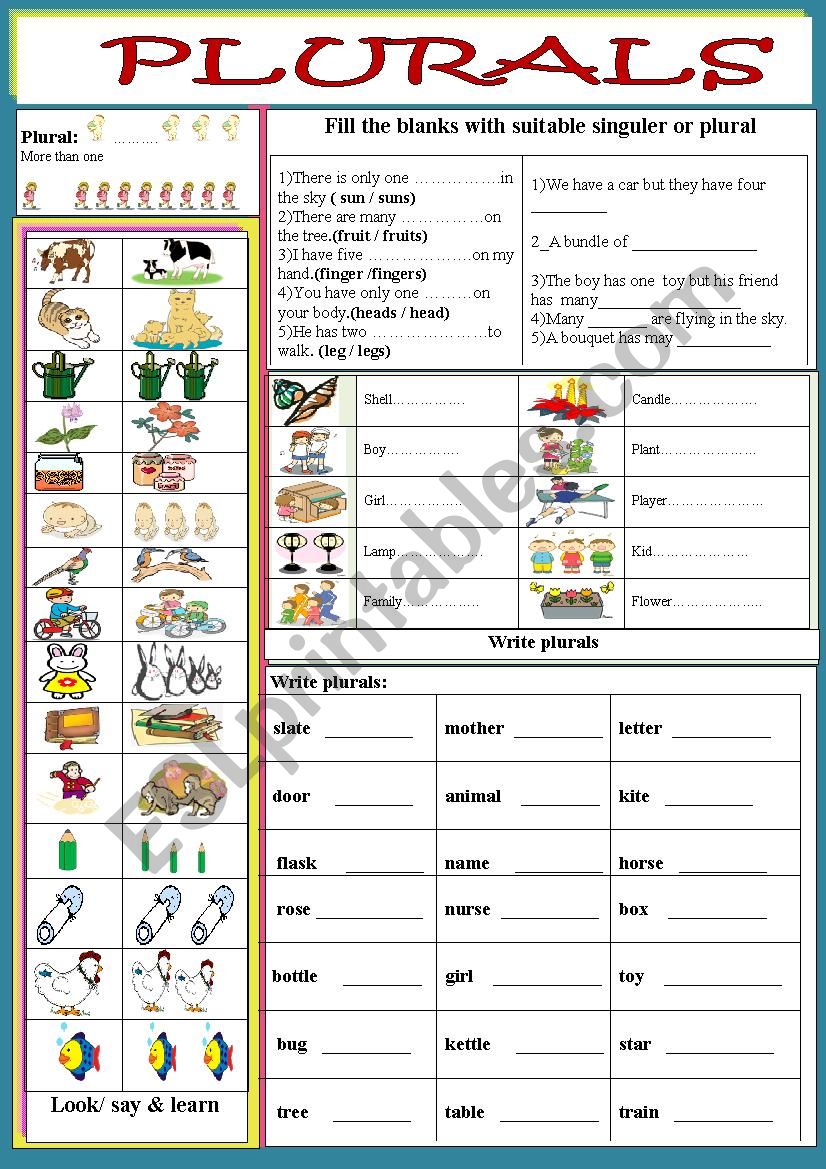 Plurals worksheet