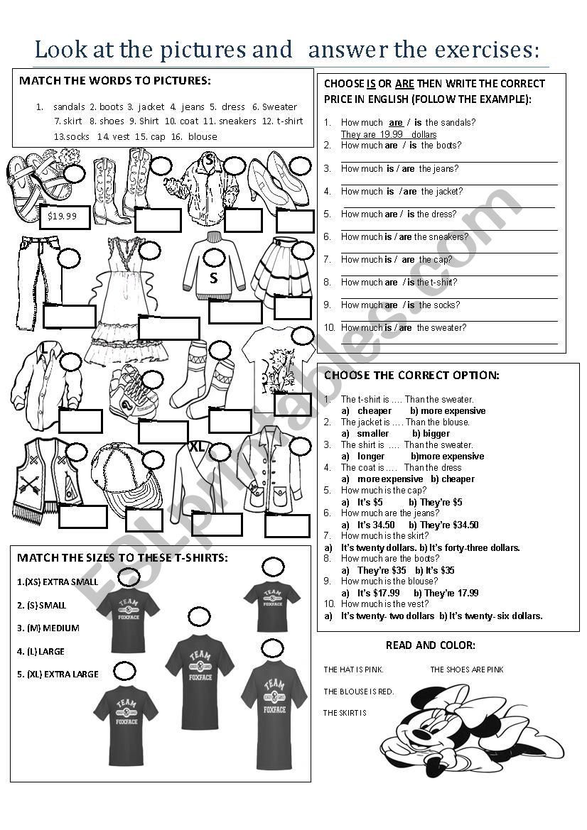 HOW MUCH IS / ARE....? worksheet