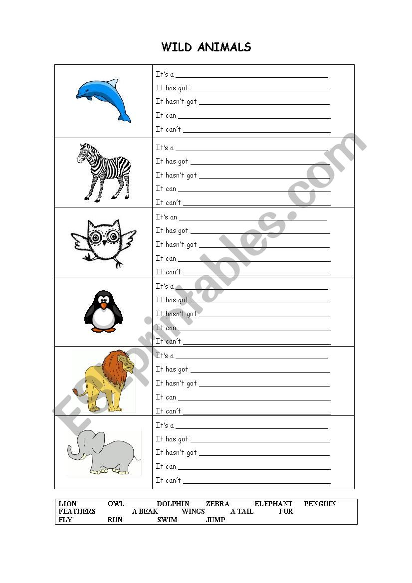 Wild Animals worksheet