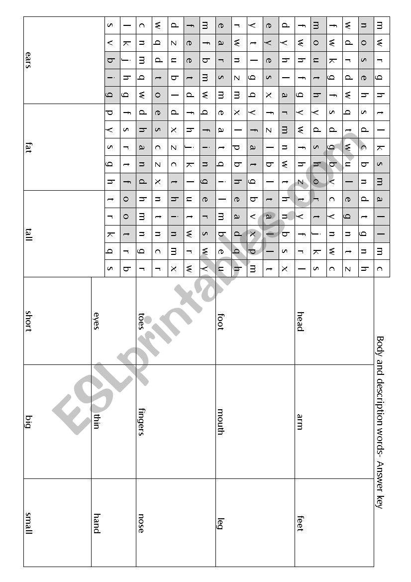 Word search Body Vocabulary worksheet