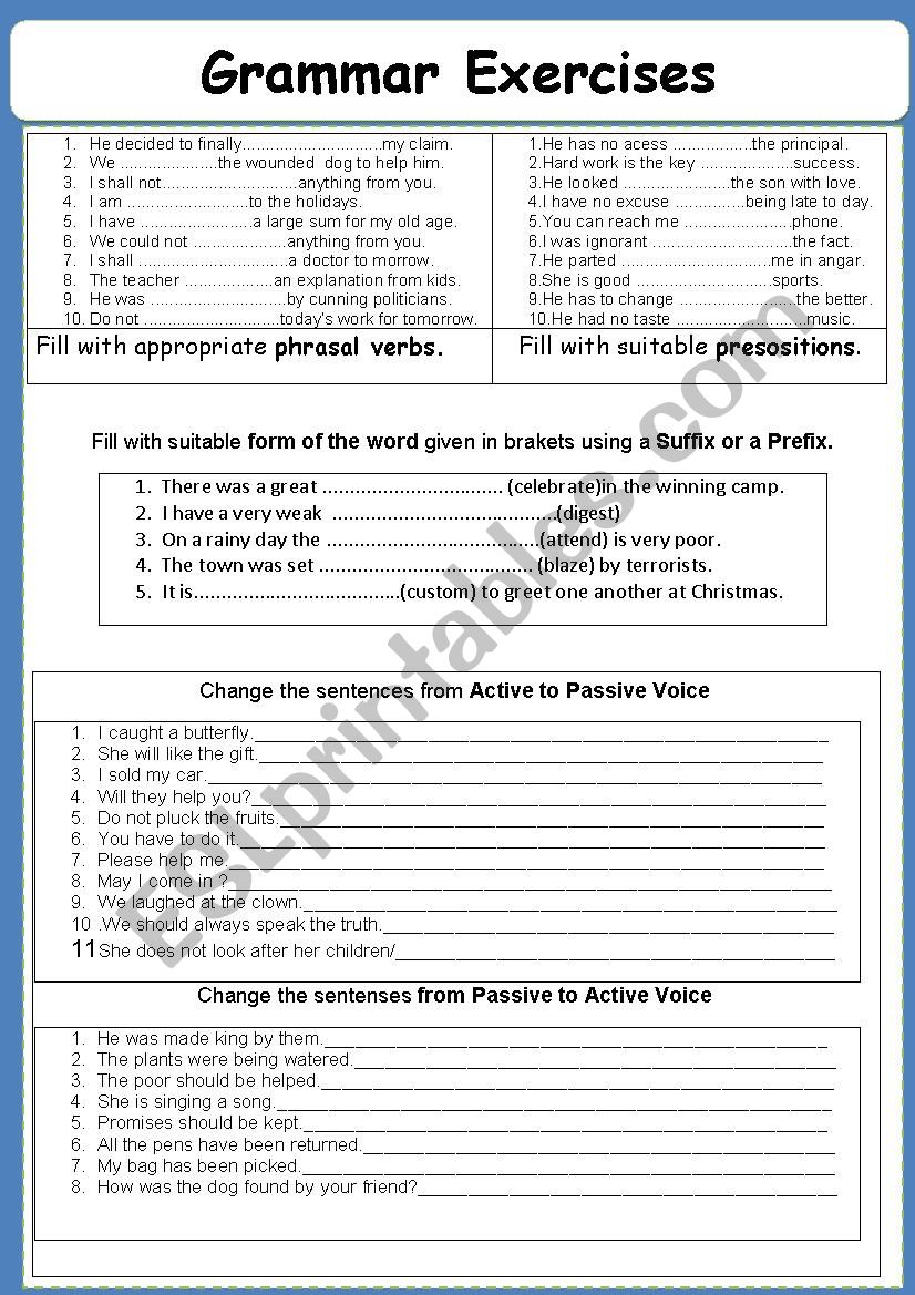 Grammar Exercises  worksheet