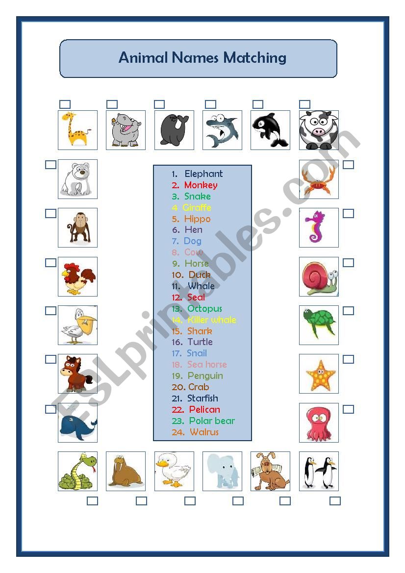 Animal Names Matching worksheet