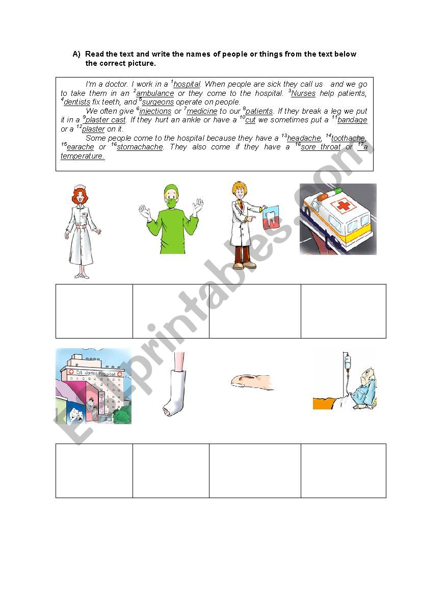 Health and illnesses worksheet