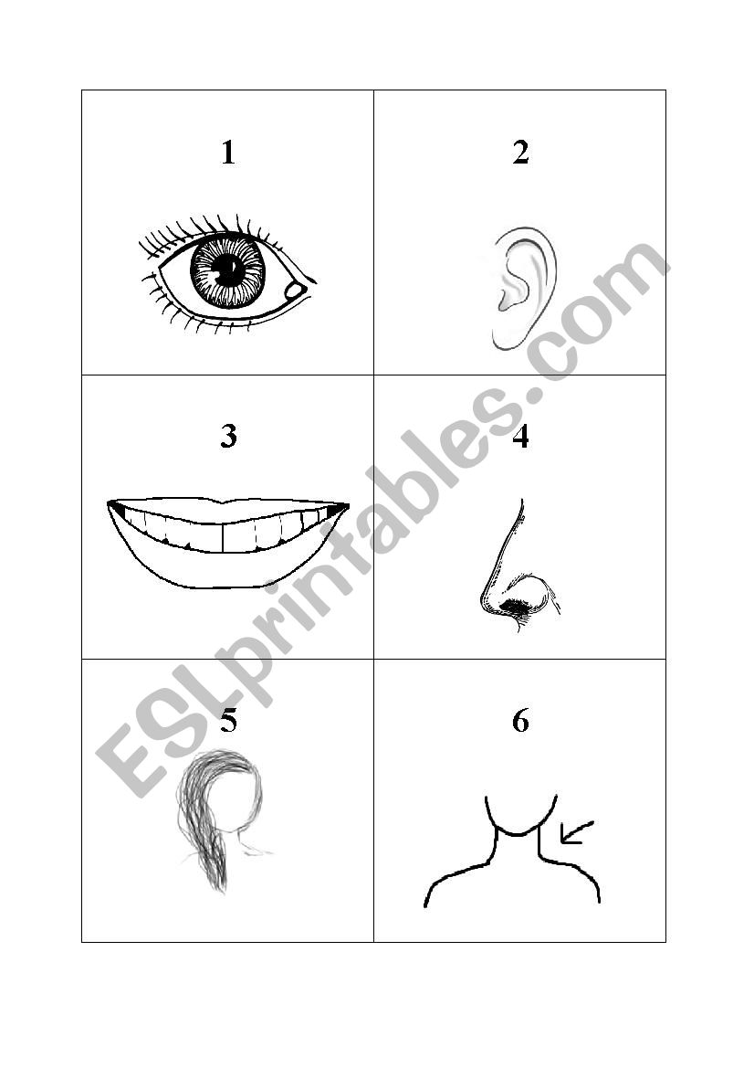 Face race game worksheet