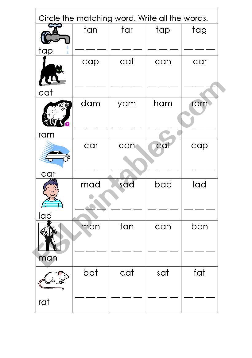 Preliteracy: Matching words worksheet