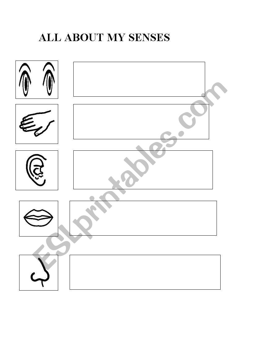 my senses worksheet