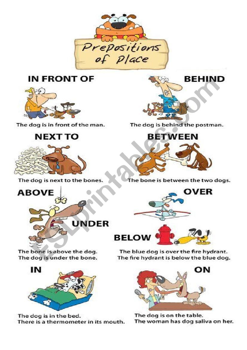 prepositions of place worksheet