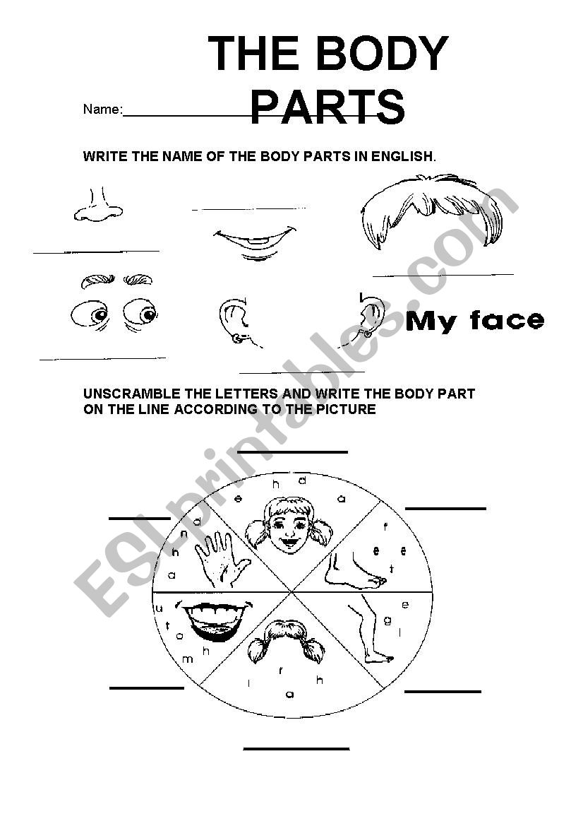 THE BODY PARTS worksheet