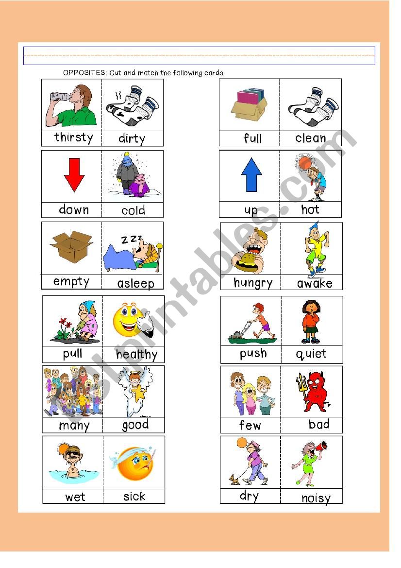 Opposites worksheet