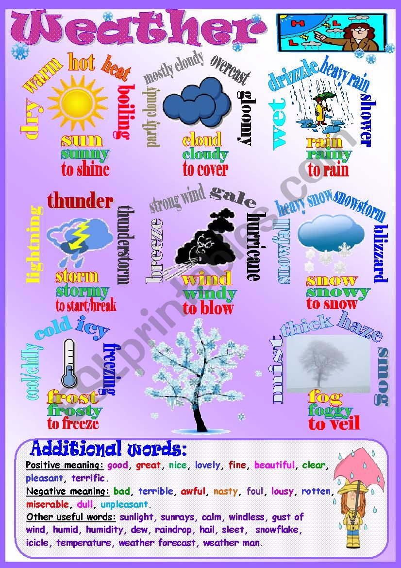 Weather worksheet