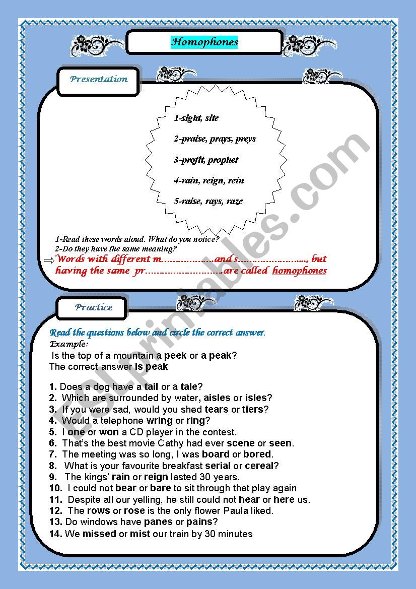 homophones worksheet