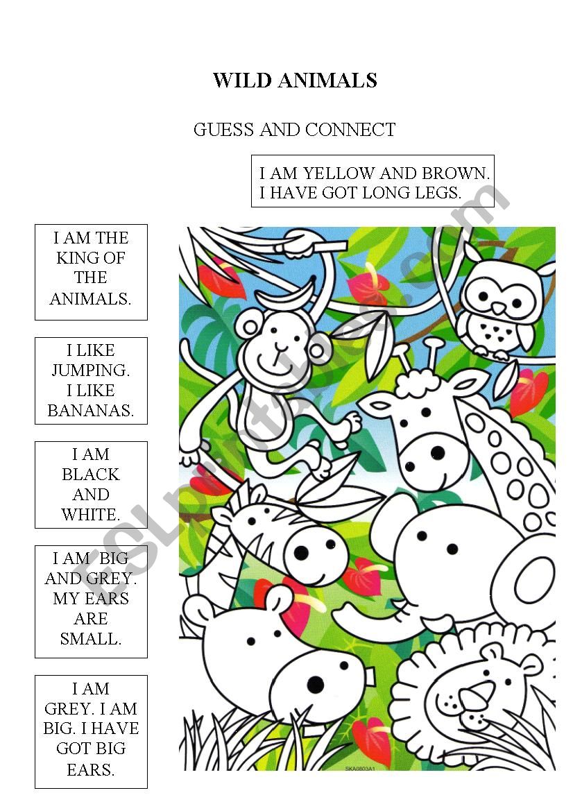 WILD ANIMALS worksheet