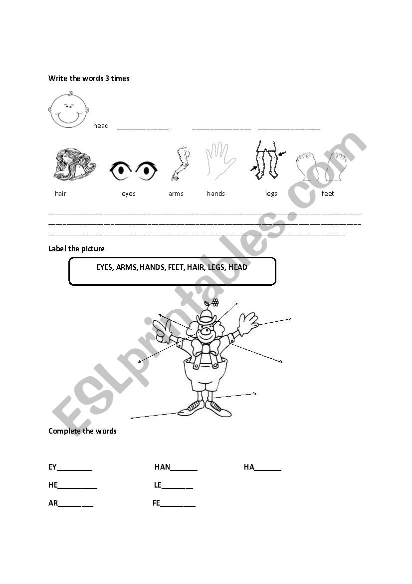 Body parts worksheet