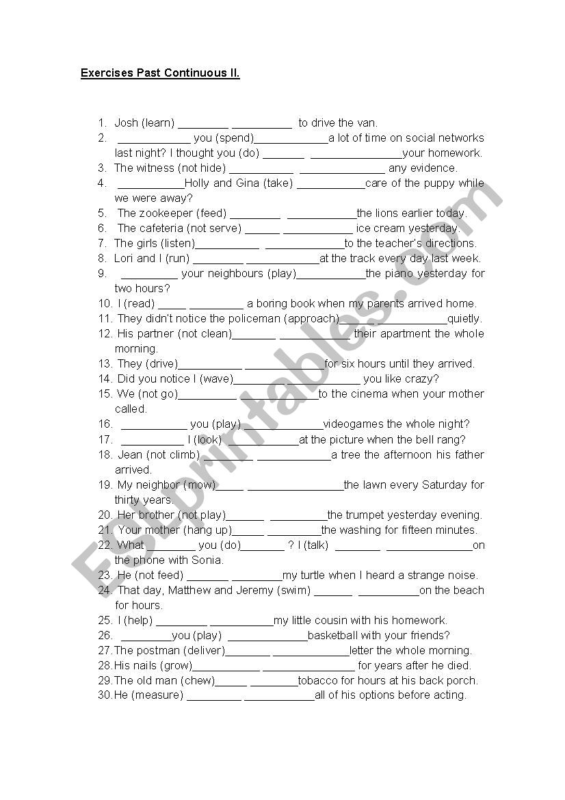 Past Continuous II worksheet