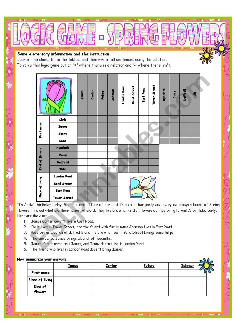 Logic Game No. 10 - Spring Flowers