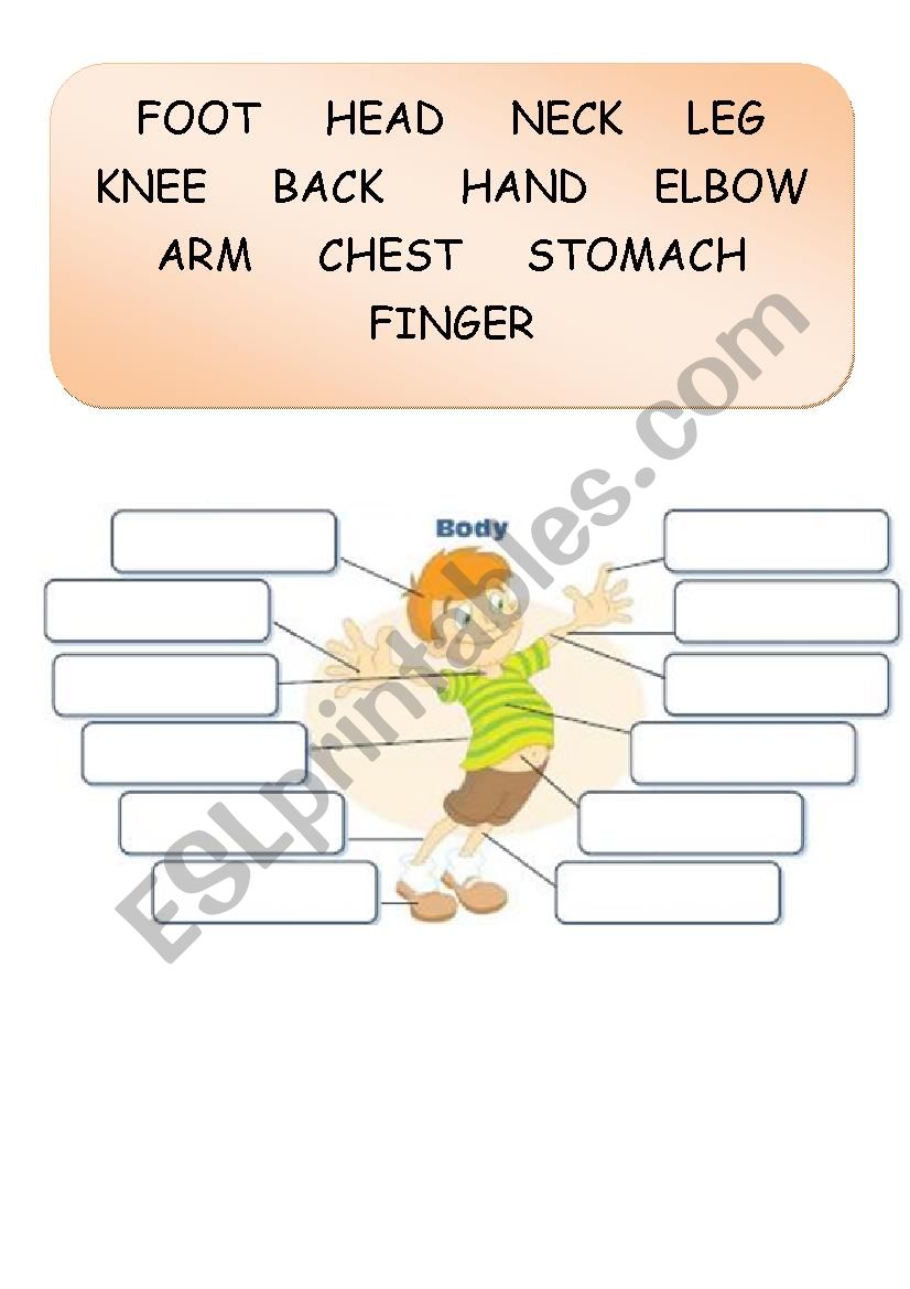 Parts of the body worksheet