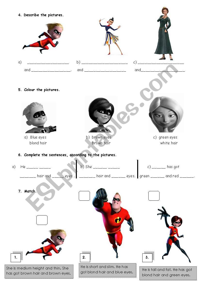 physical description worksheet