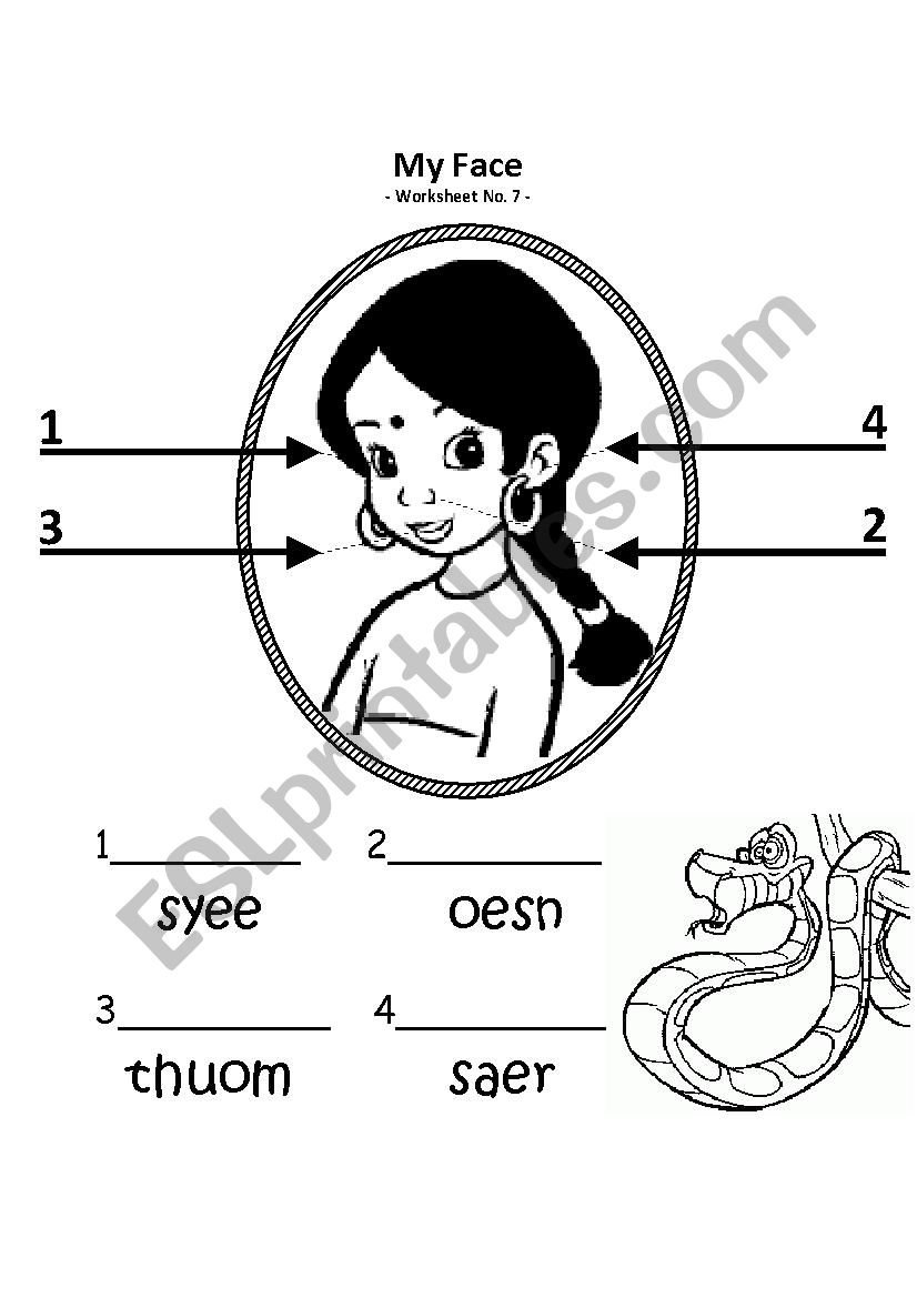 The Face worksheet