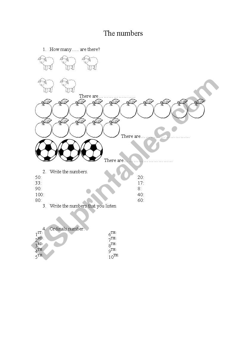 The numbers worksheet