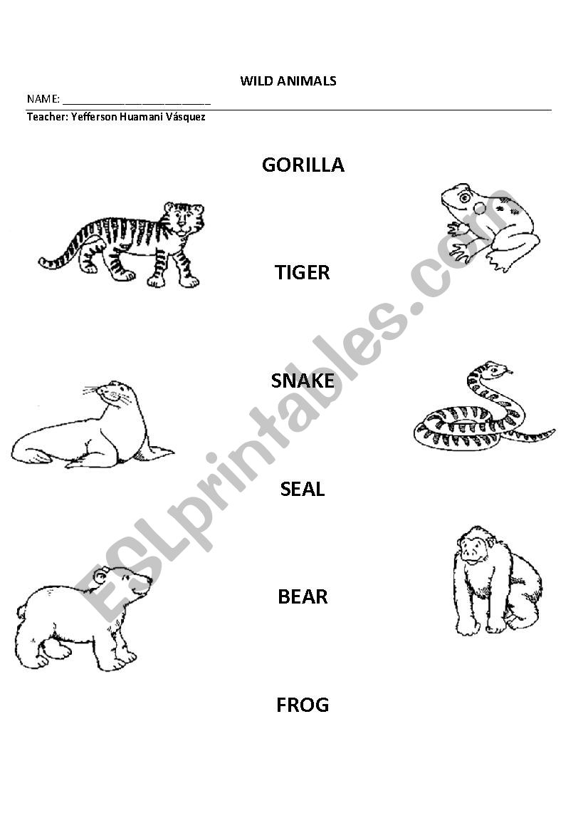 wild animals worksheet