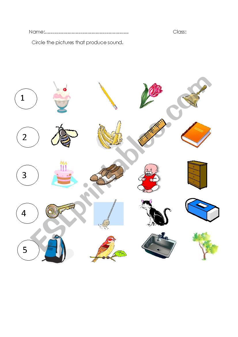 Sounds Around Us worksheet
