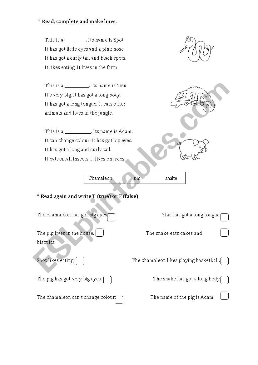 animals descriptions worksheet