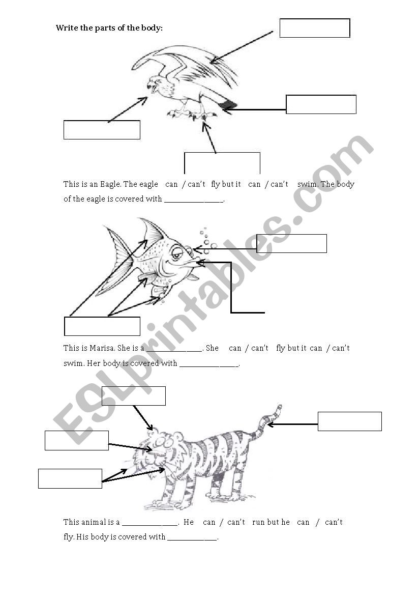 animal body parts worksheet