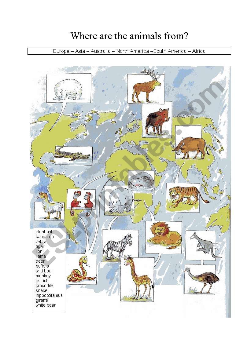 WHERE ARE THE ANIMALS FROM? worksheet