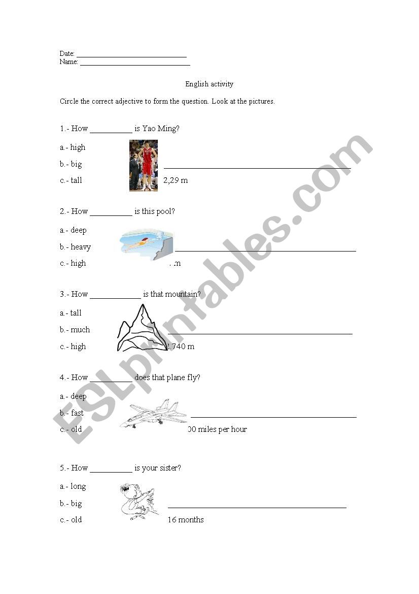 Measurement activity how+adjective