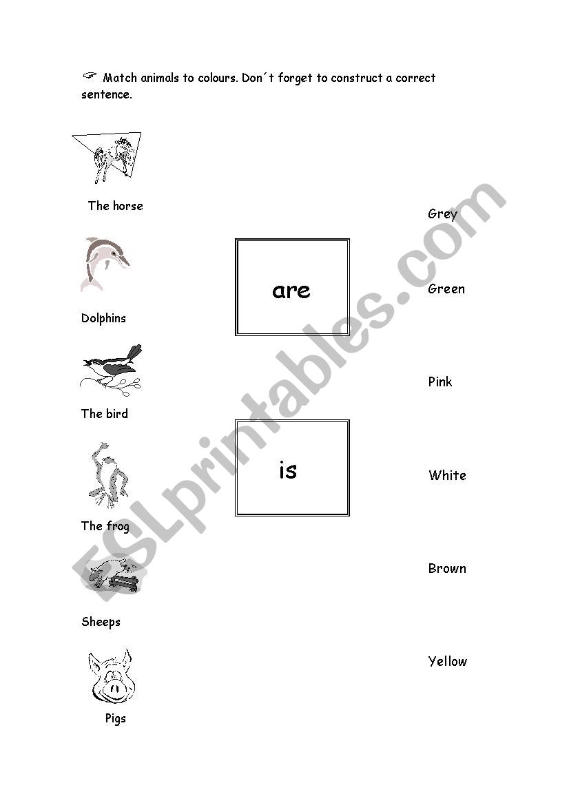 animals worksheet