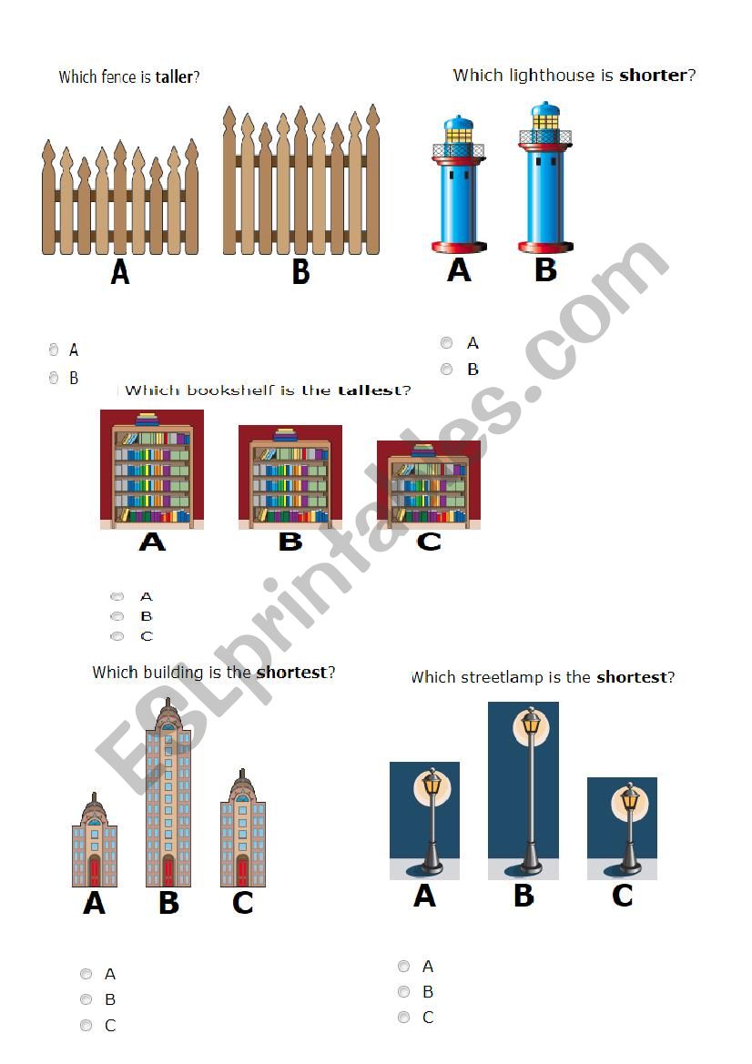 tall and shortest worksheet
