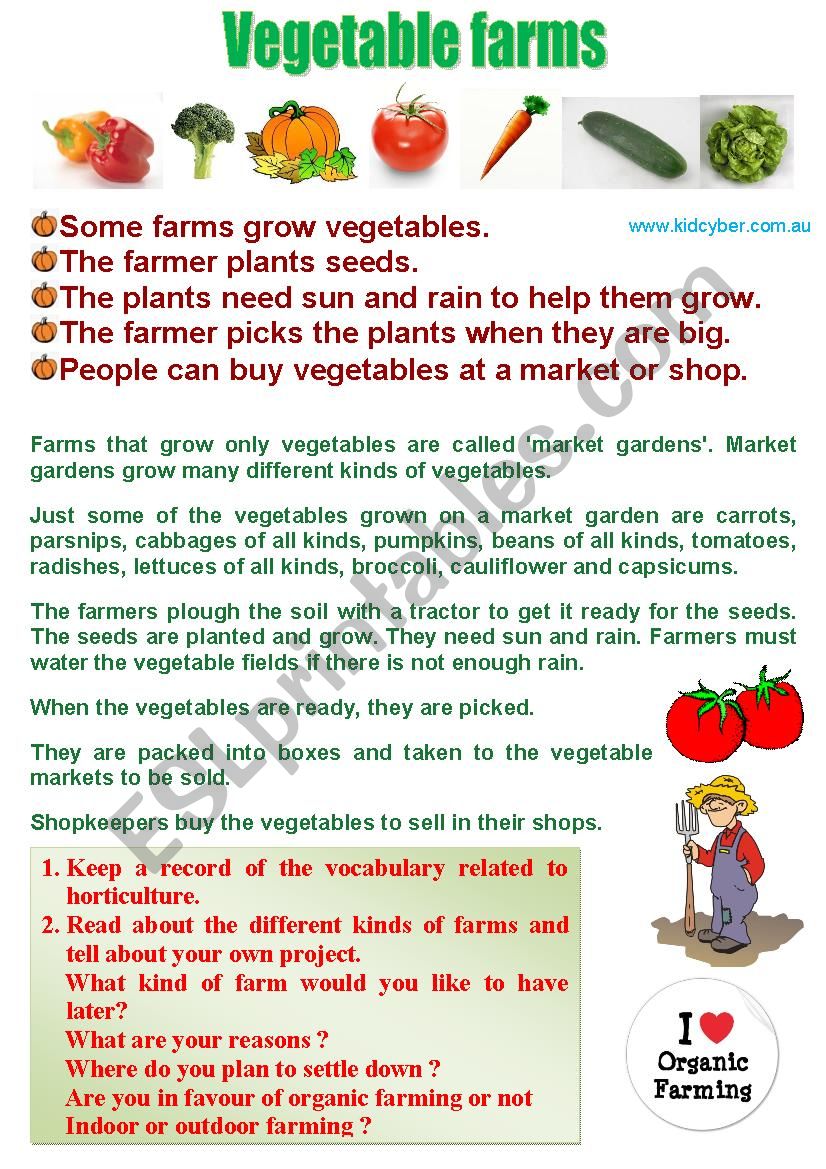 Vegetable Farms (Special Farms) 