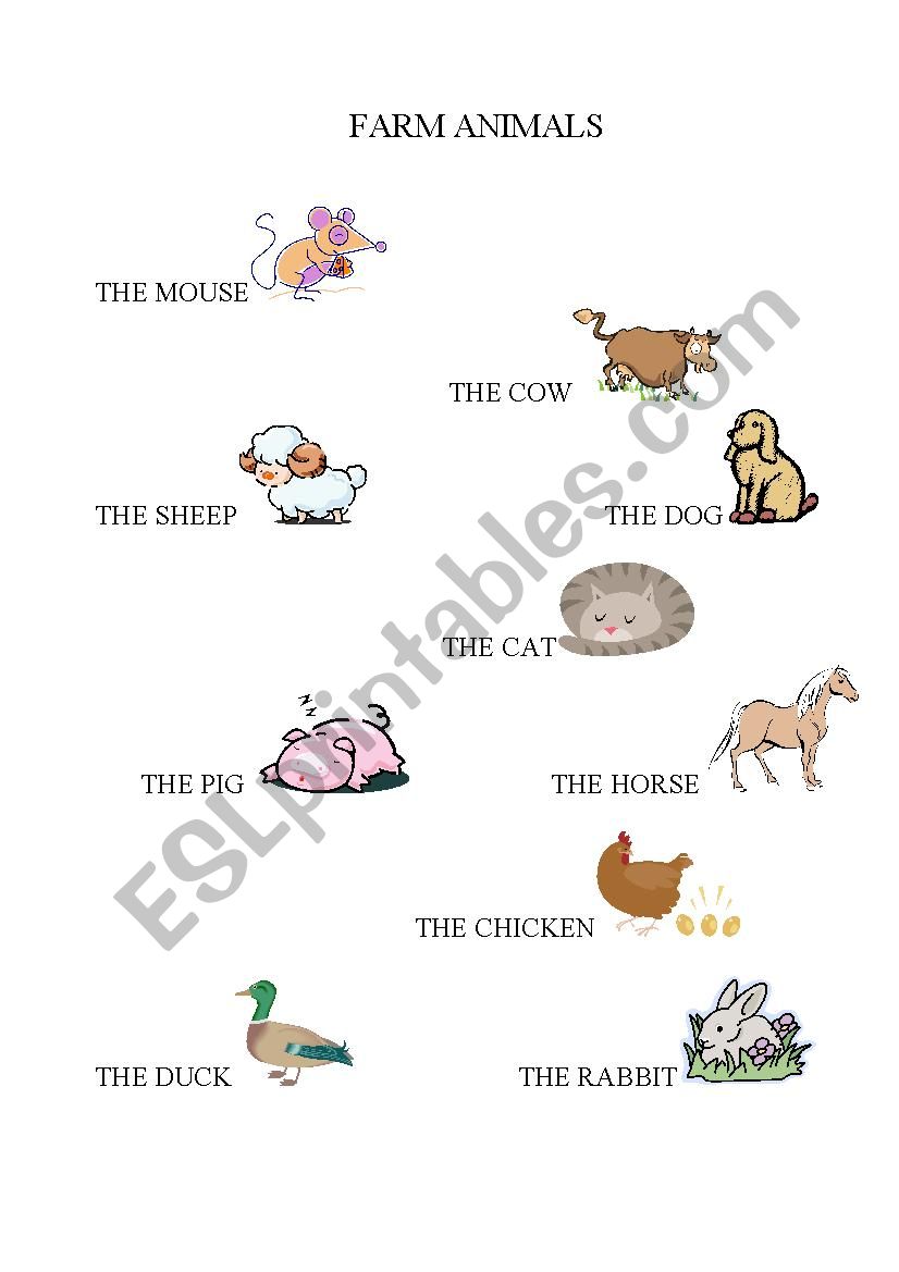 Farm animals worksheet