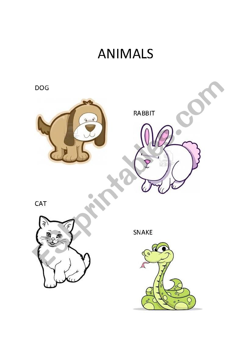 ANIMALS worksheet