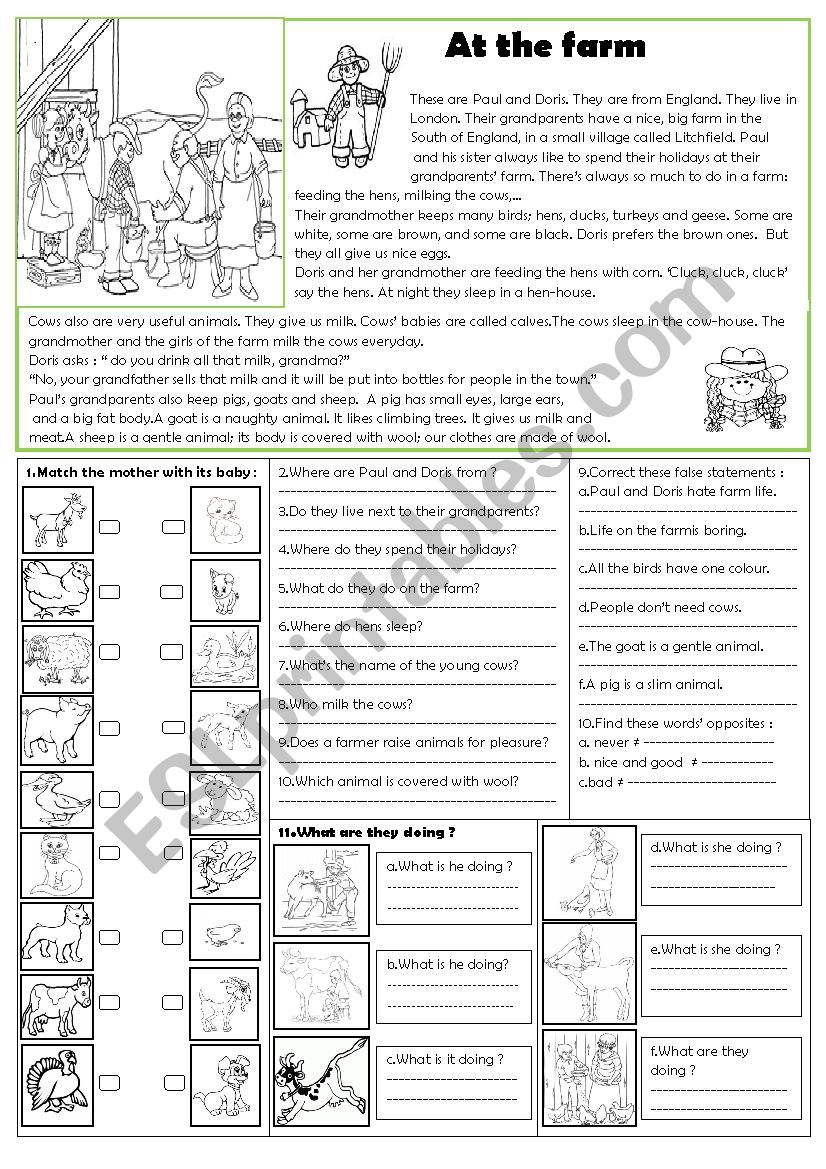 At the farm worksheet