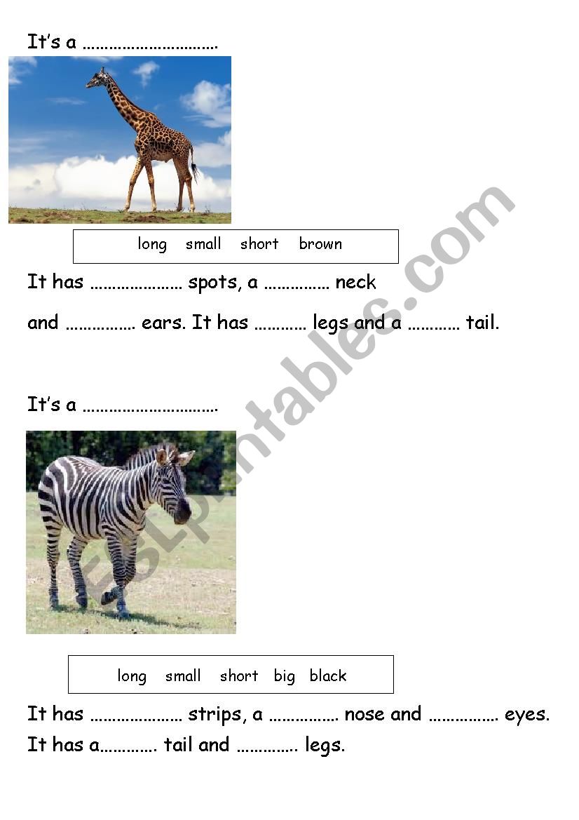 describing animals worksheet