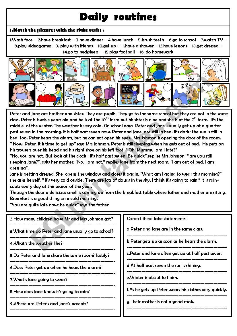 Daily routines worksheet