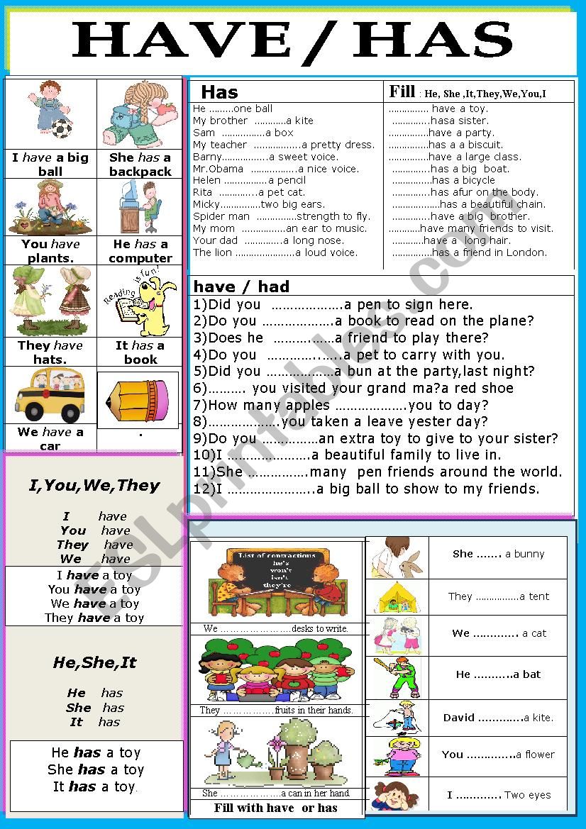  Grammar/ Verbs / Has / Have worksheet