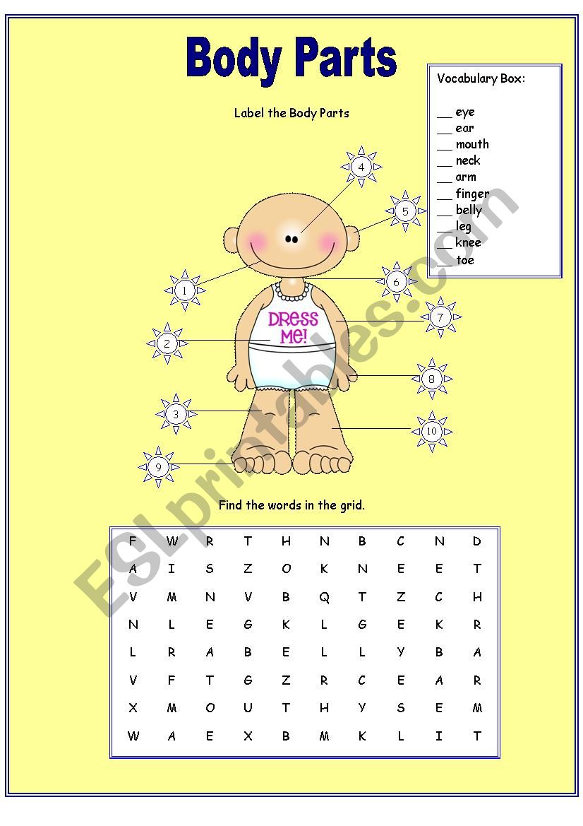 Body Parts worksheet