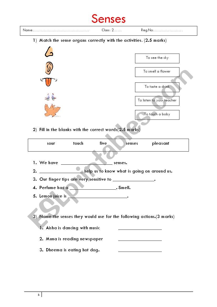 Senses worksheet