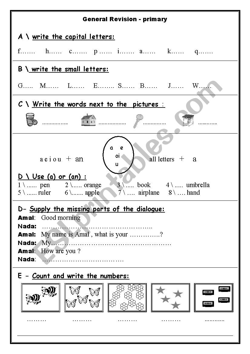 general revision worksheet