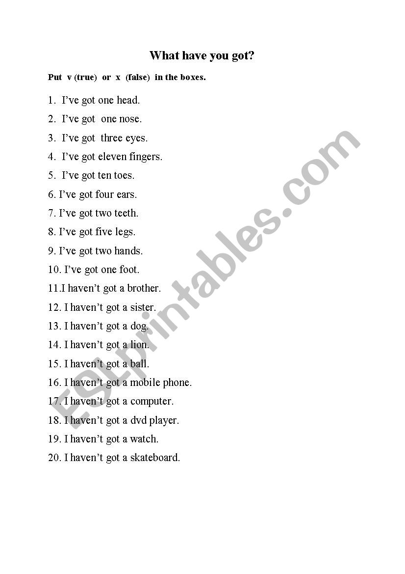 What have you got? worksheet