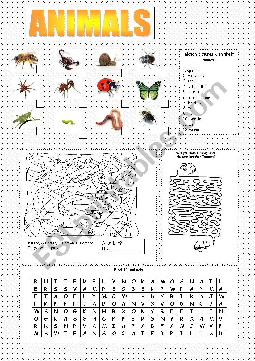 ANIMALS  worksheet