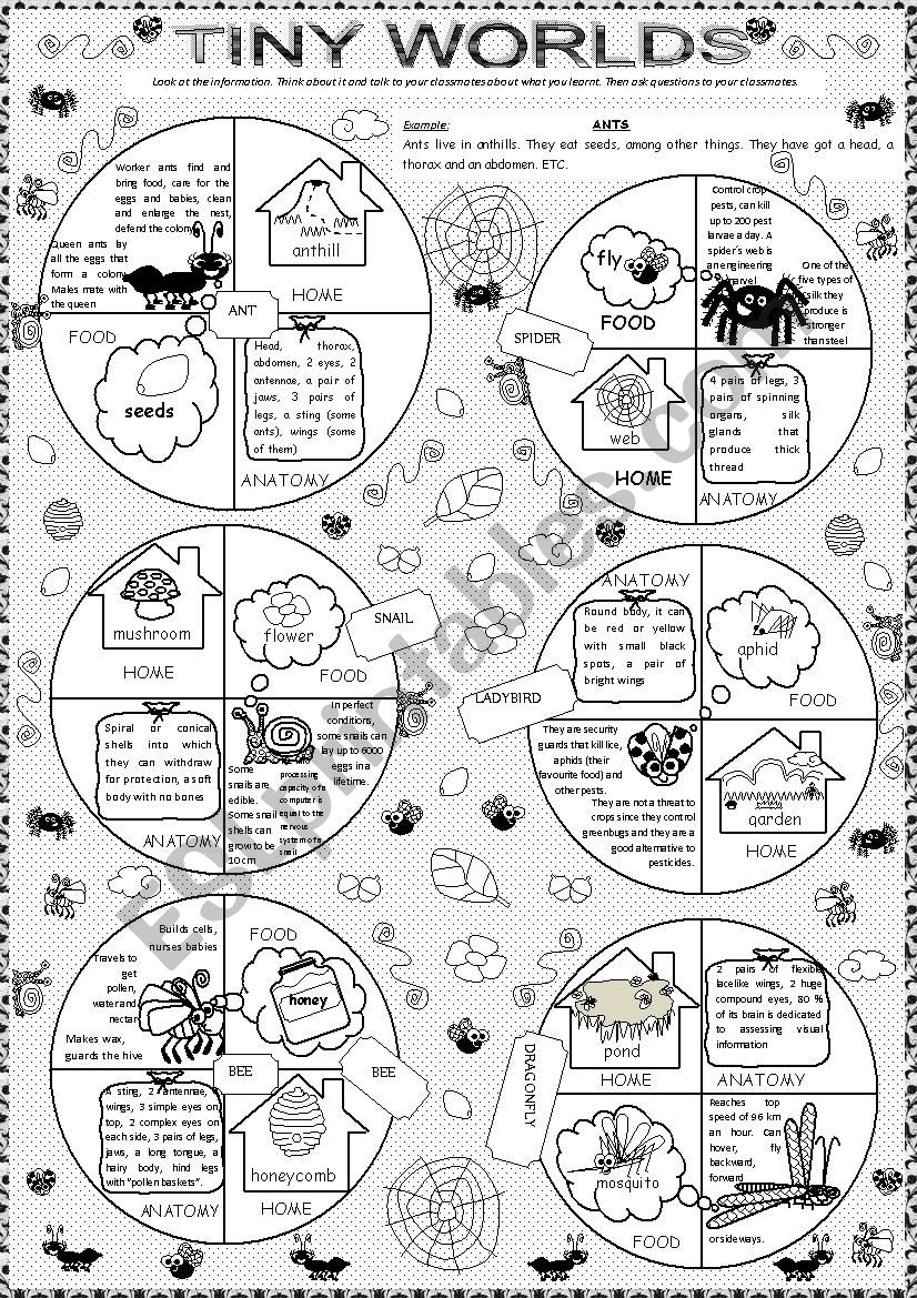 TINY WORLDS worksheet