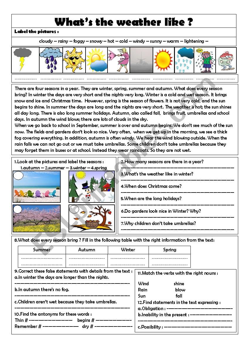 whats the weather like? worksheet