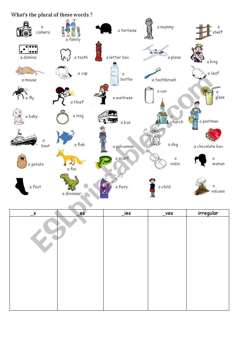 Plurals worksheet  - 3rd part worksheet