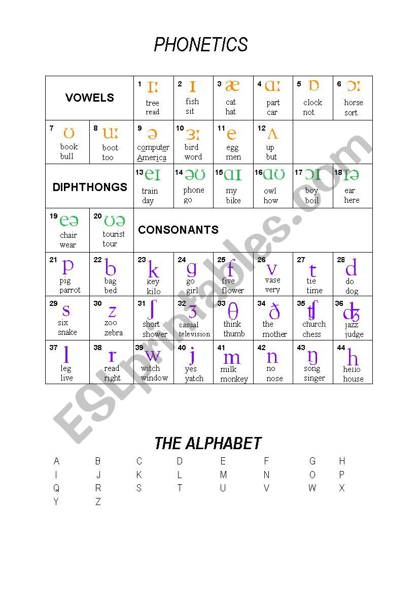PHONETICS + ALPHABET worksheet