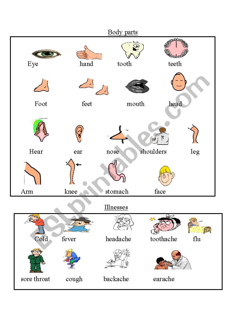 parts of the body & illness worksheet