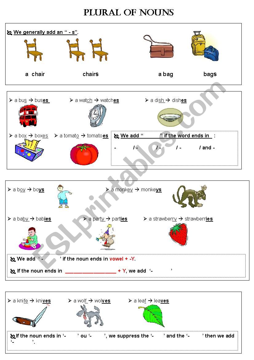 Plural worksheet